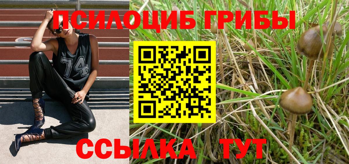 Псилоцибиновые грибы GOLDEN TEACHER  Вход с VPN  Феодосия 